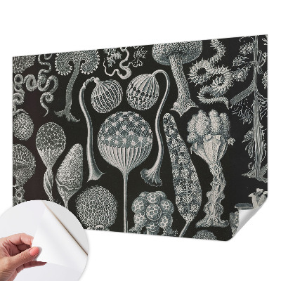 Tapet autoadeziv cu motiv abstract stelar