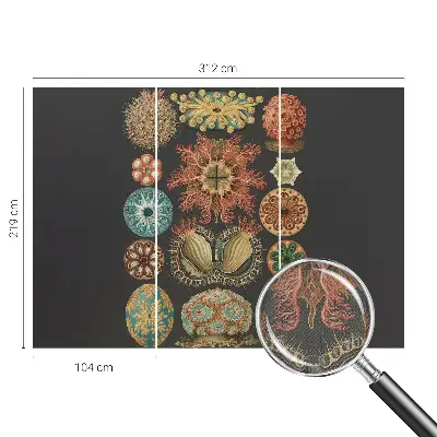 Fototapet 3d Havinspirationer