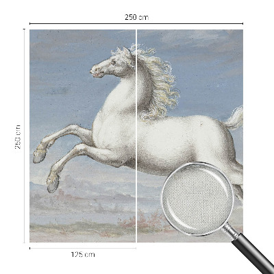 Nazwa produktu Păsări delicate