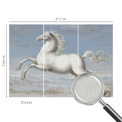 Nazwa produktu Păsări delicate