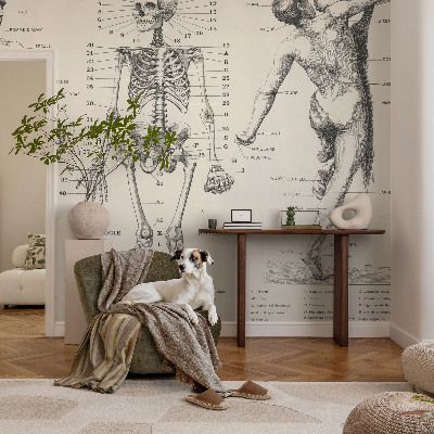 Fototapet 3D autoadeziv cu ilustrație în stilul anatomiei clasice