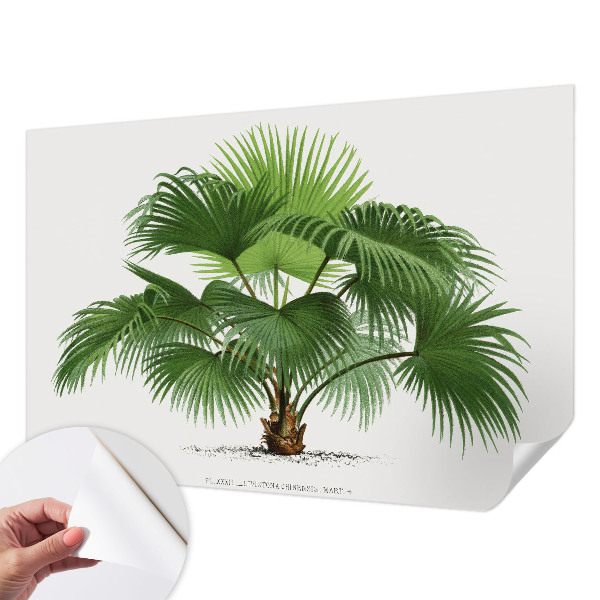 Nazwa produktu cu model de palmier exotic