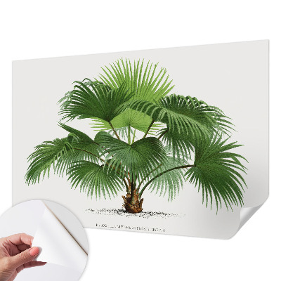 Nazwa produktu cu model de palmier exotic
