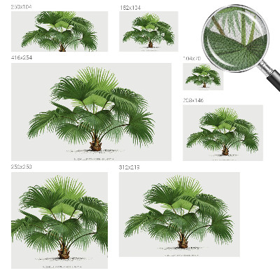 Nazwa produktu cu model de palmier exotic