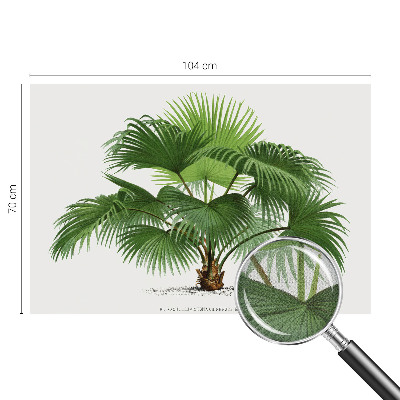 Nazwa produktu cu model de palmier exotic