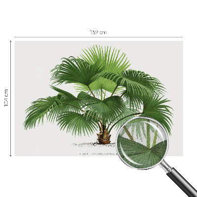 Nazwa produktu cu model de palmier exotic