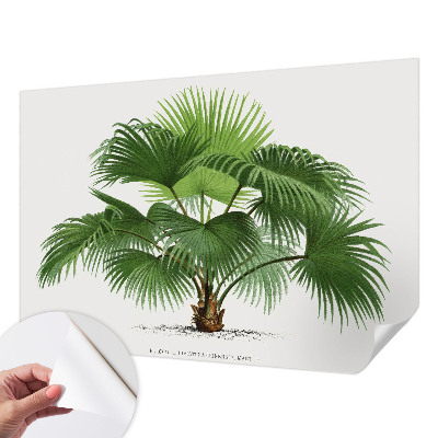 Nazwa produktu cu model de palmier exotic