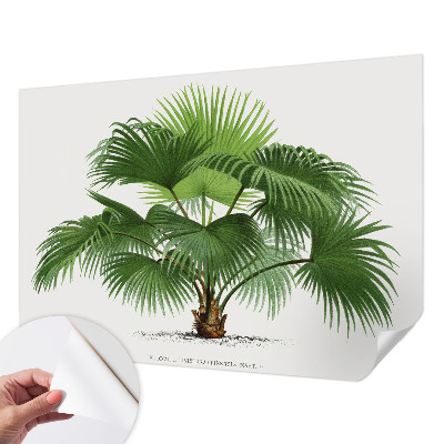 Nazwa produktu cu model de palmier exotic