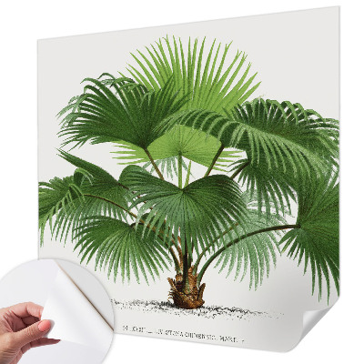 Nazwa produktu cu model de palmier exotic