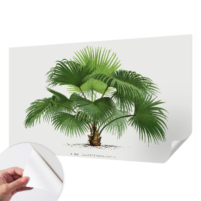 Nazwa produktu cu model de palmier exotic