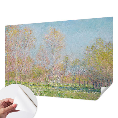 Fototapet 3D autoadeziv cu motiv „Forårsparken”