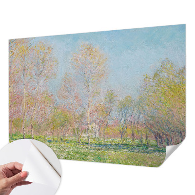 Fototapet 3D autoadeziv cu motiv „Forårsparken”
