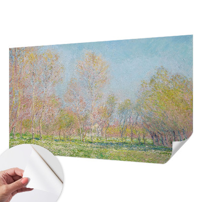 Fototapet 3D autoadeziv cu motiv „Forårsparken”