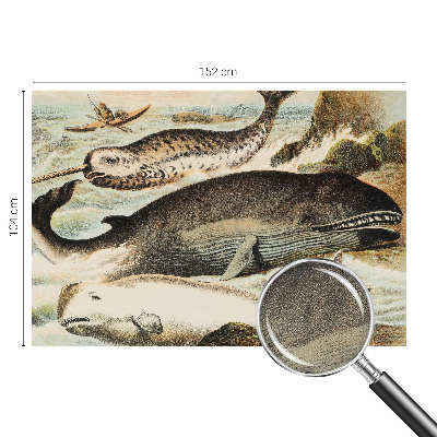 Fototapet 3d Havgiganter