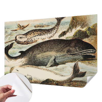 Fototapet 3d Havgiganter