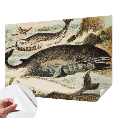 Fototapet 3d Havgiganter
