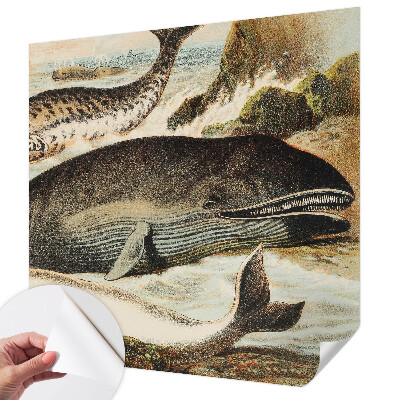 Fototapet 3d Havgiganter
