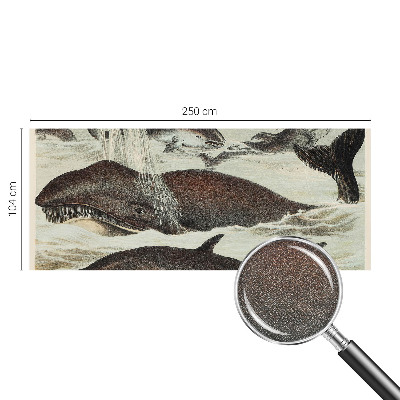 Fototapet 3d autoadeziv Havdyr