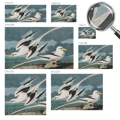 Nazwa produktu Fugle ved havet