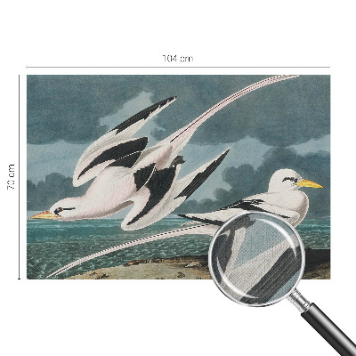 Nazwa produktu Fugle ved havet