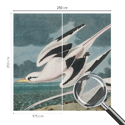 Nazwa produktu Fugle ved havet