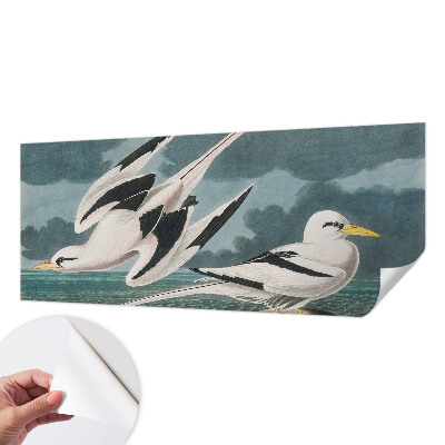 Nazwa produktu Fugle ved havet
