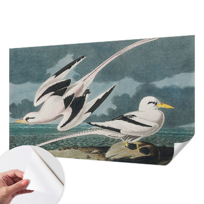 Nazwa produktu Fugle ved havet