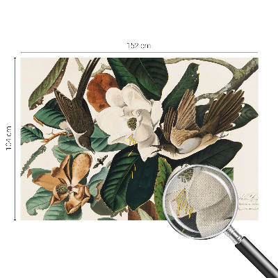 Fototapet autocolant Fugle magnolier