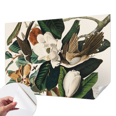 Fototapet autocolant Fugle magnolier
