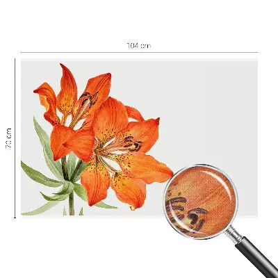 Nazwa produktu Orange lilje