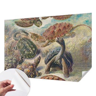 Nazwa produktu Skildpaddefauna