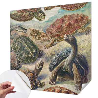 Nazwa produktu Skildpaddefauna