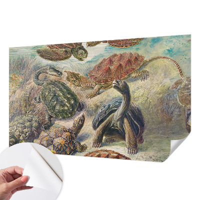 Nazwa produktu Skildpaddefauna