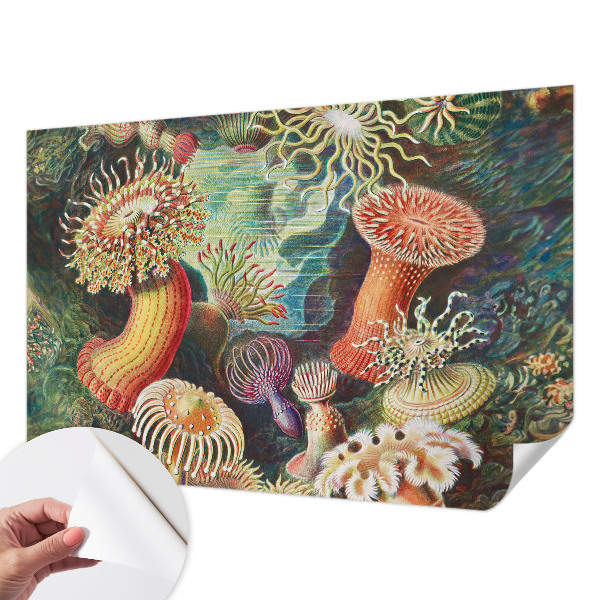 Fototapet autoadeziv cu model Fancy anemoner