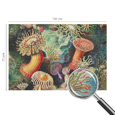 Fototapet autoadeziv cu model Fancy anemoner
