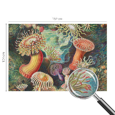 Fototapet autoadeziv cu model Fancy anemoner