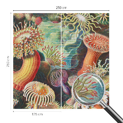 Fototapet autoadeziv cu model Fancy anemoner