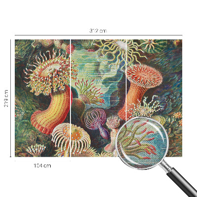 Fototapet autoadeziv cu model Fancy anemoner