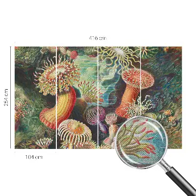 Fototapet autoadeziv Fancy anemoner