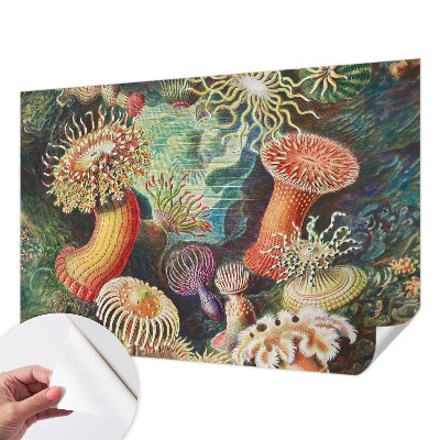 Fototapet autoadeziv cu model Fancy anemoner