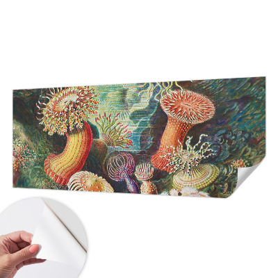 Fototapet autoadeziv cu model Fancy anemoner