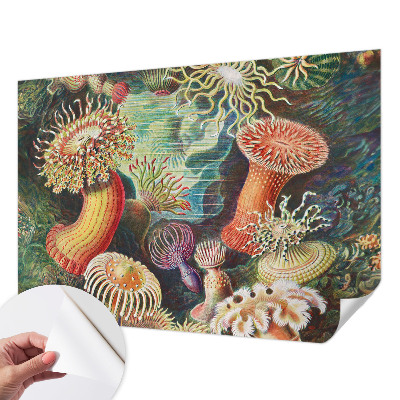 Fototapet autoadeziv cu model Fancy anemoner