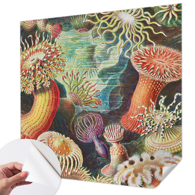 Fototapet autoadeziv cu model Fancy anemoner