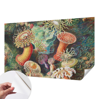 Fototapet autoadeziv cu model Fancy anemoner