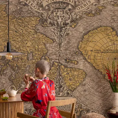 Fototapet 3d pentru living Historisk kartografi