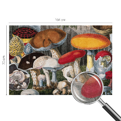 Fototapet autoadeziv pentru living cu motiv cu ciuperci botanice