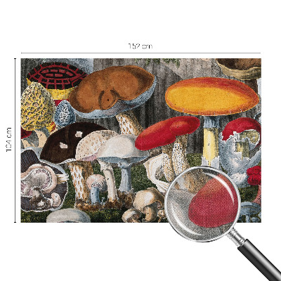 Fototapet autoadeziv pentru living cu motiv cu ciuperci botanice