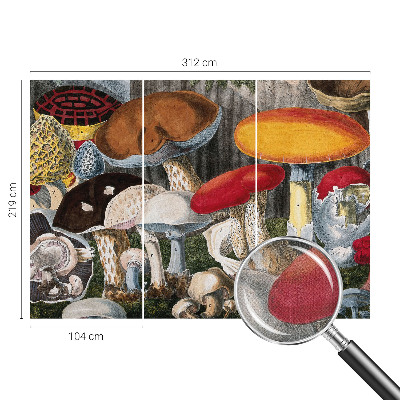 Fototapet autoadeziv pentru living cu motiv cu ciuperci botanice