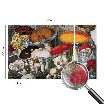 Fototapet autoadeziv pentru living cu motiv cu ciuperci botanice