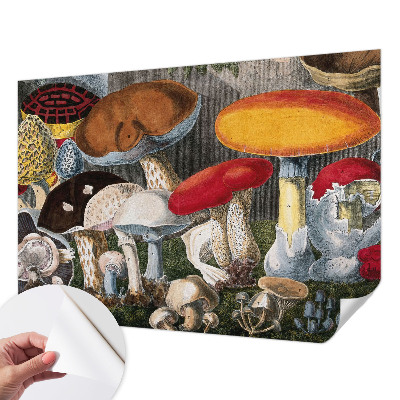 Fototapet autoadeziv pentru living cu motiv cu ciuperci botanice